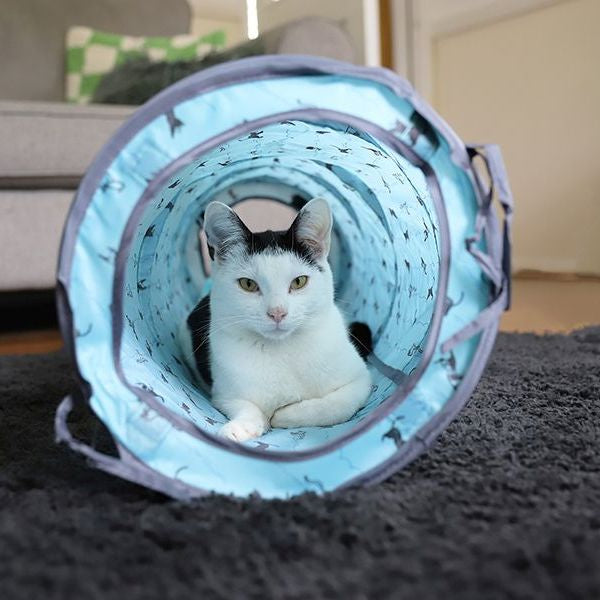 Battersea Pop Up Tent and Tunnel