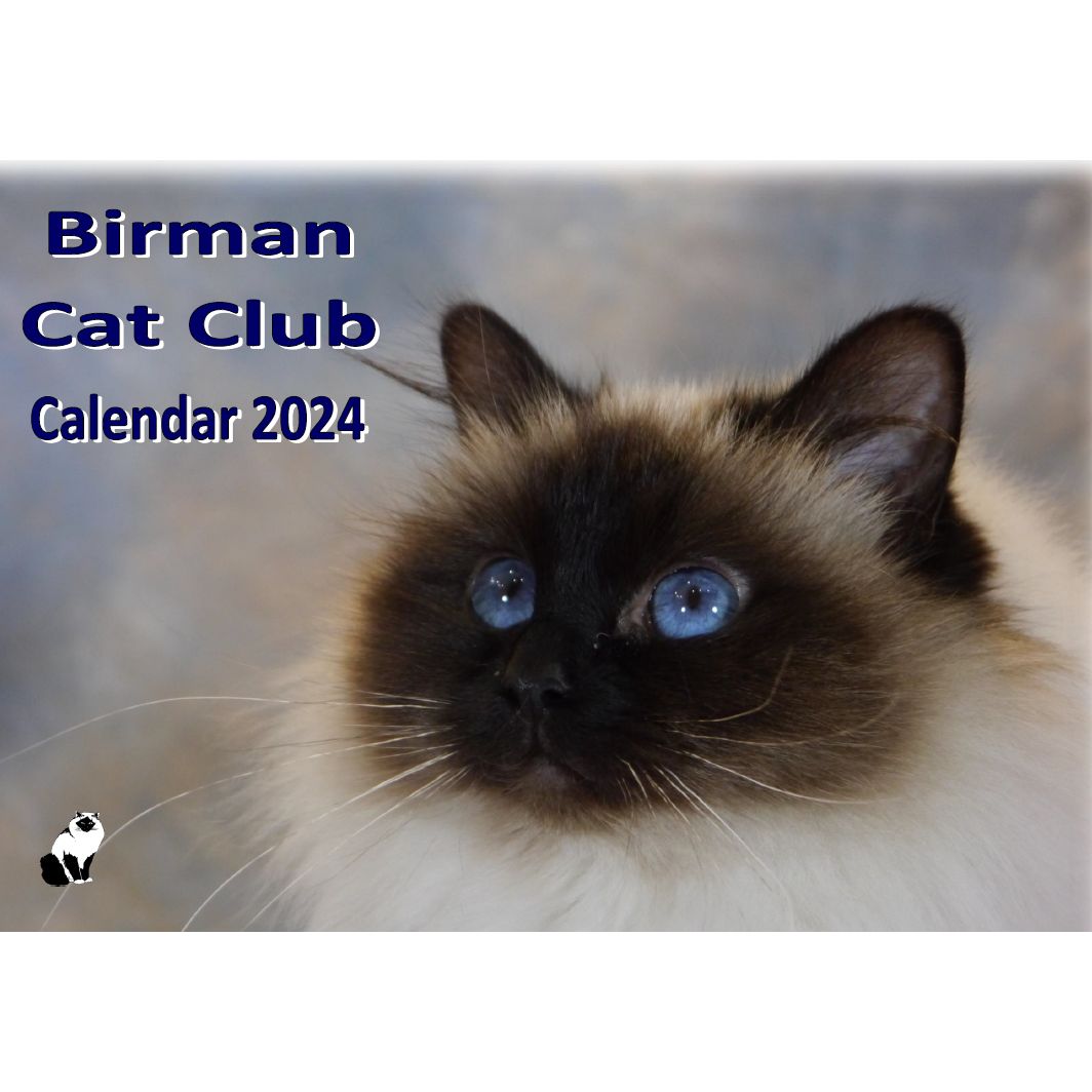 The Birman Cat Club 2024 Wall Calendar
