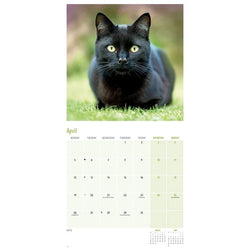 Calendar with a black cat on grass, April 2027 view shown with space to note daily engagements