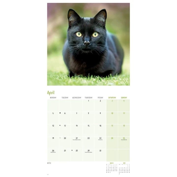 Calendar with a black cat on grass, April 2027 view shown with space to note daily engagements