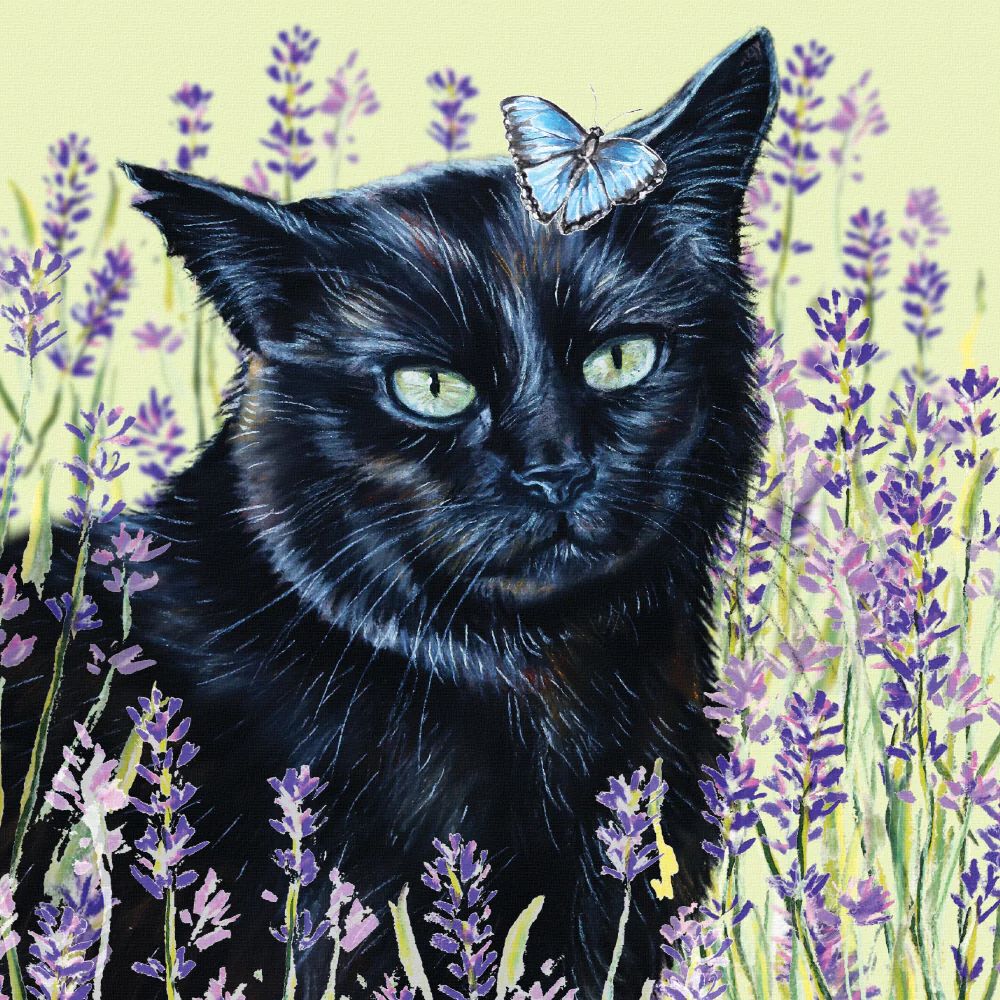 Black Cat Art Greetings Card, The Cat Gallery