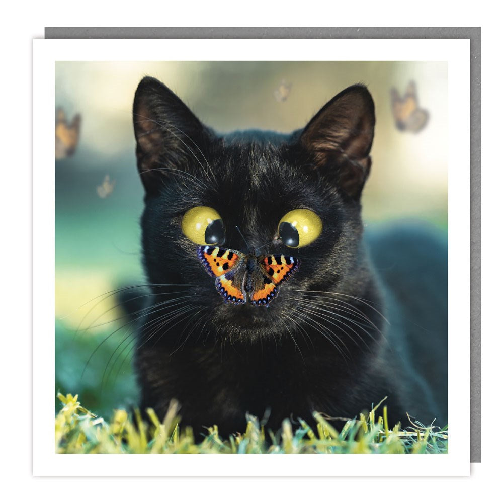 Black Cat & Butterfly Photographic Card
