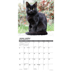 Black Cats 2025 Wall Calendar