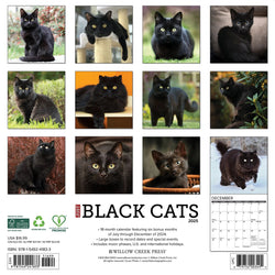 Black Cats 2025 Wall Calendar