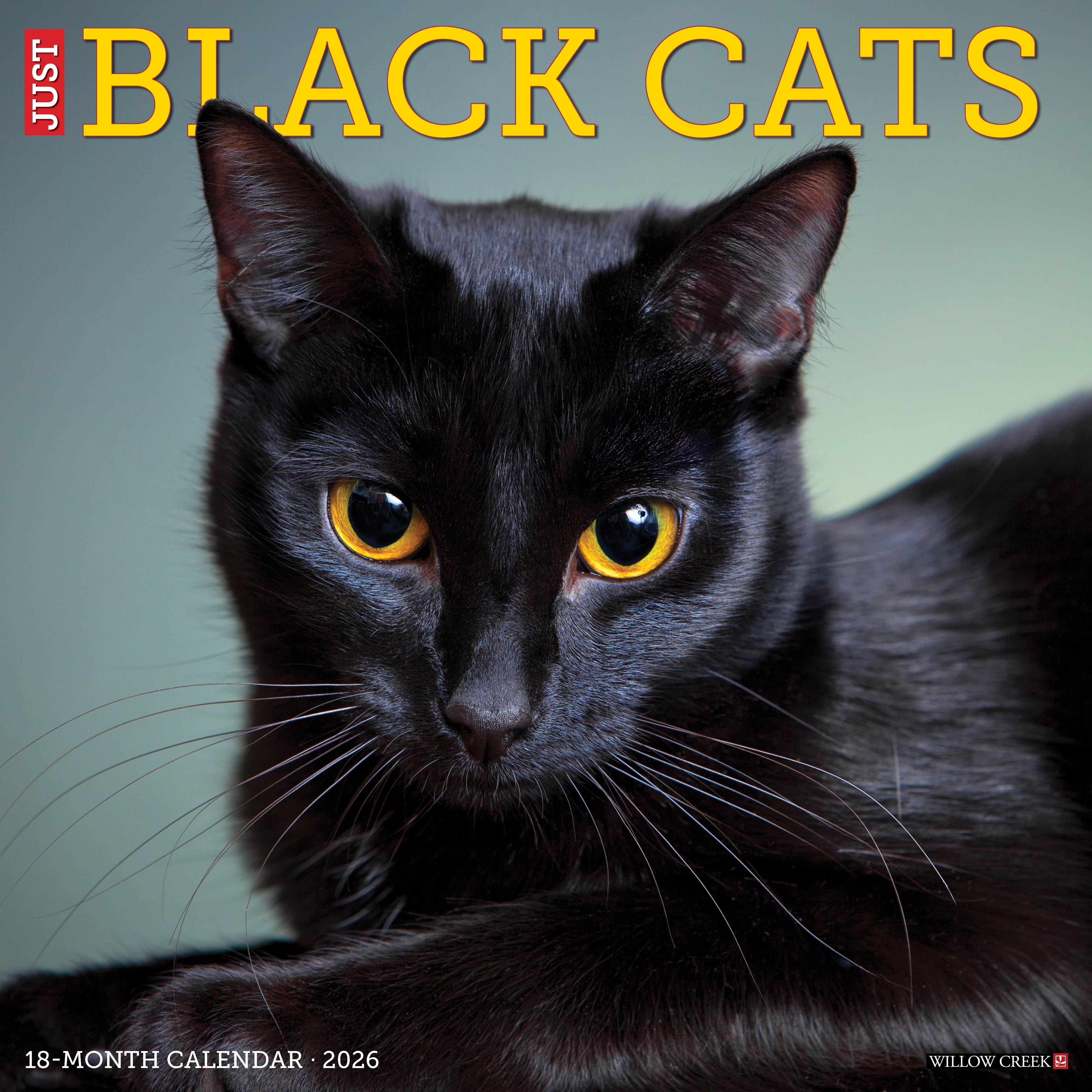 Black Cats 2026 Wall Calendar