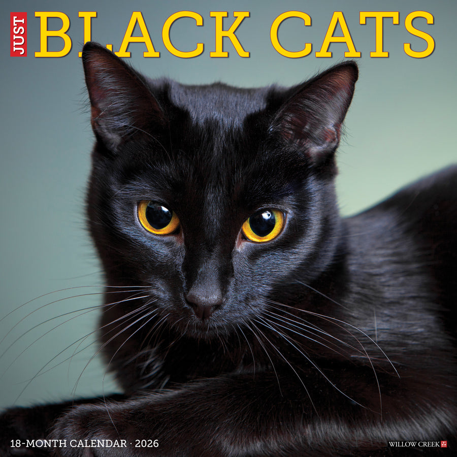 Black Cats 2026 Wall Calendar