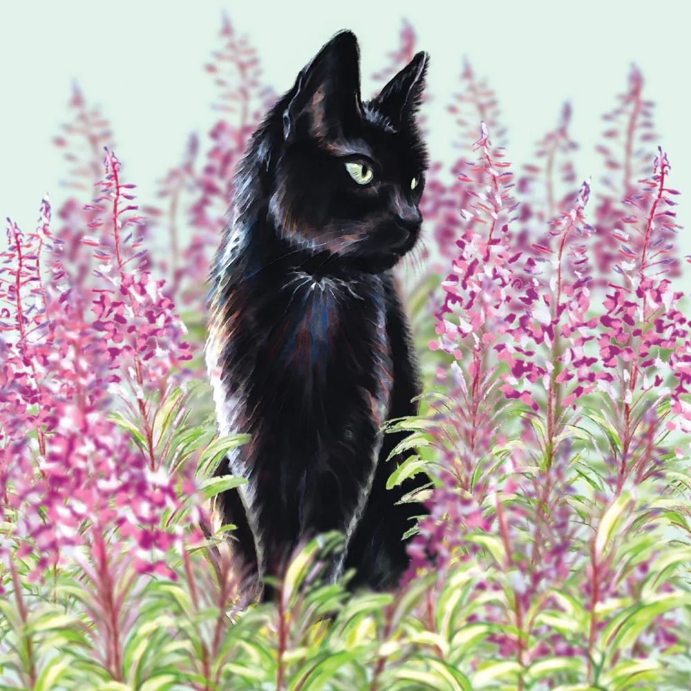 Black Kitten Art Greetings Card, The Cat Gallery