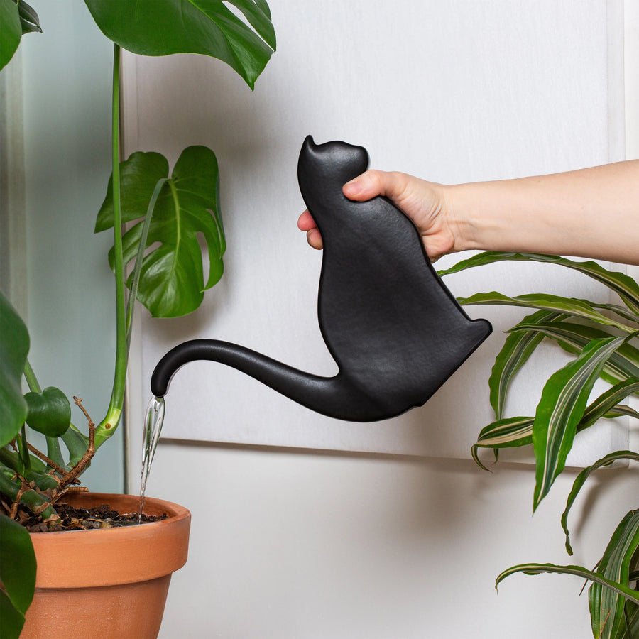 Person using a black cat-shaped watering can to water a plant indoors.