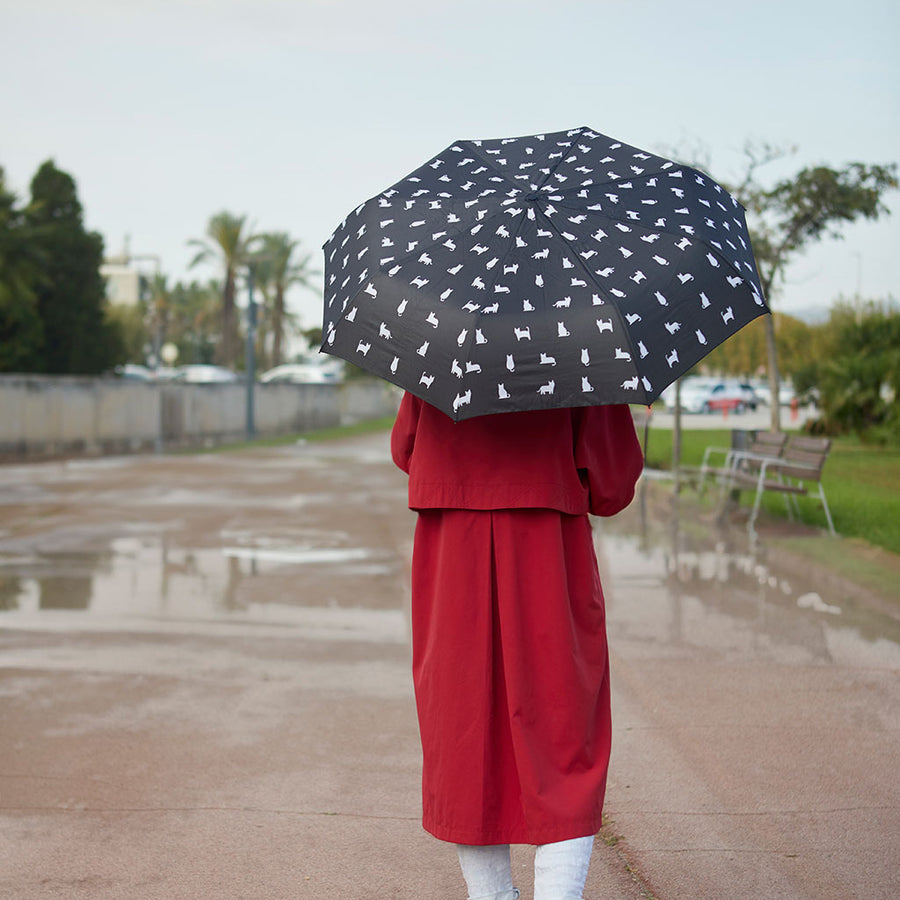 Black and White Cat Umbrella