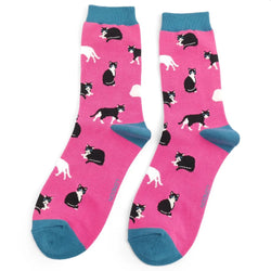 Black & White Cats Socks UK 4-7