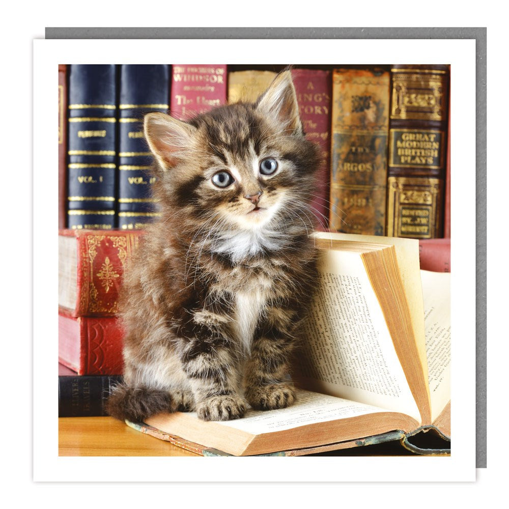 Book Kitten Photographic Card