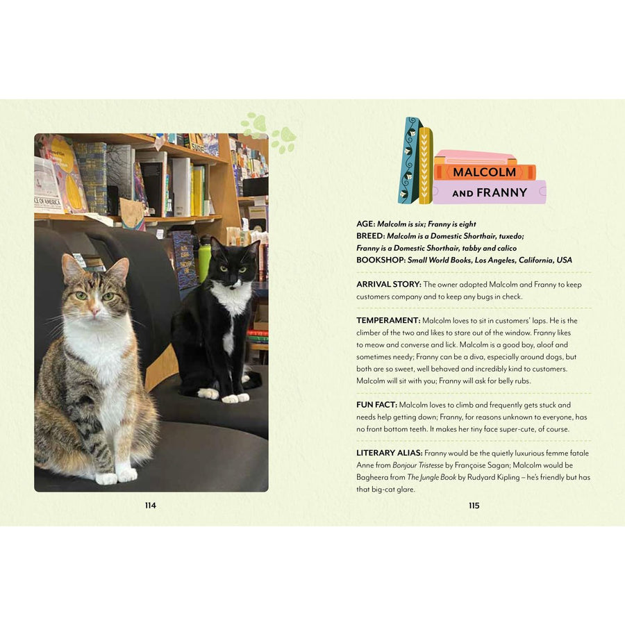 Bookshop Cats