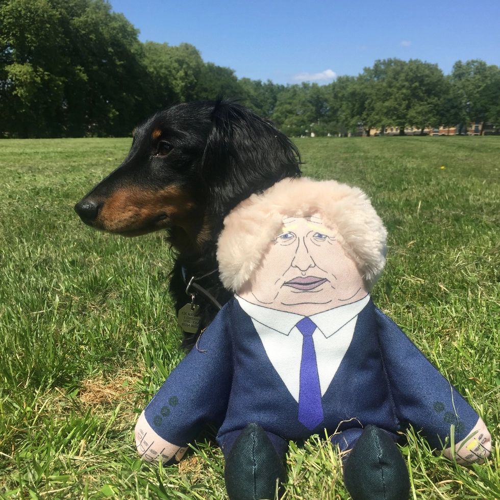 Boris Dog Toy