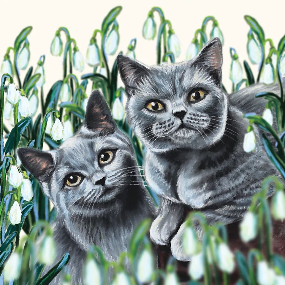 British Blue Cats Art Greetings Card, The Cat Gallery