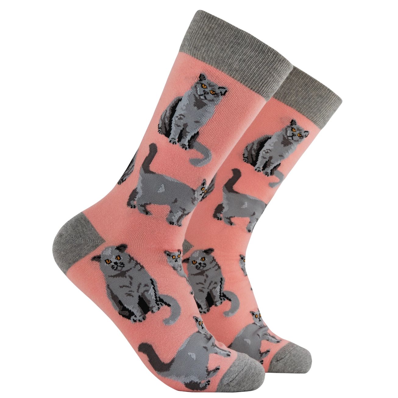 British Shorthair Socks