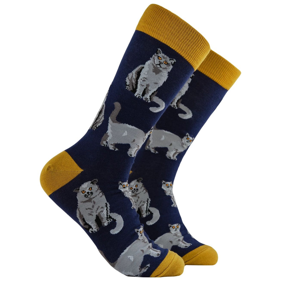 British Shorthair Socks, Large
