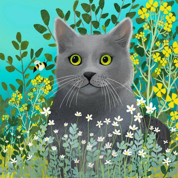Bubba the Cat Greetings Card, The Cat Gallery