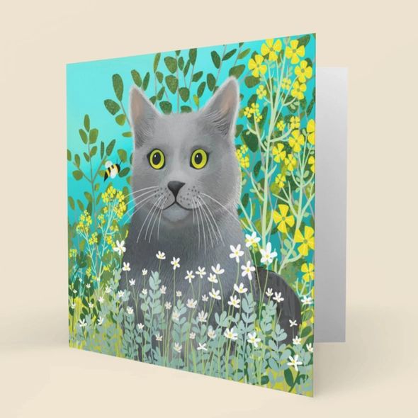 Bubba the Cat Greetings Card
