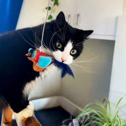 Chirping Birds Cat Toy on a string