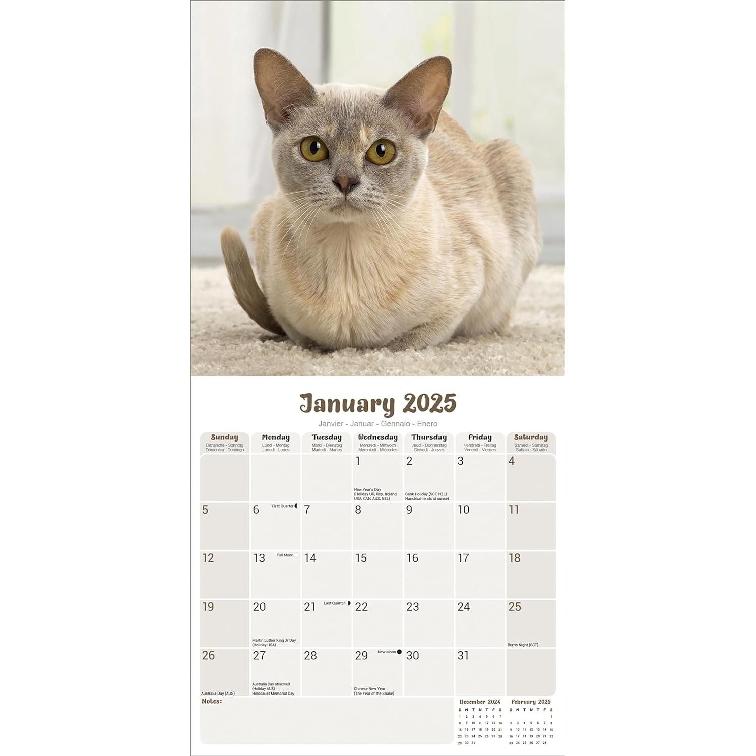 Burmese Cats 2025 Wall Calendar