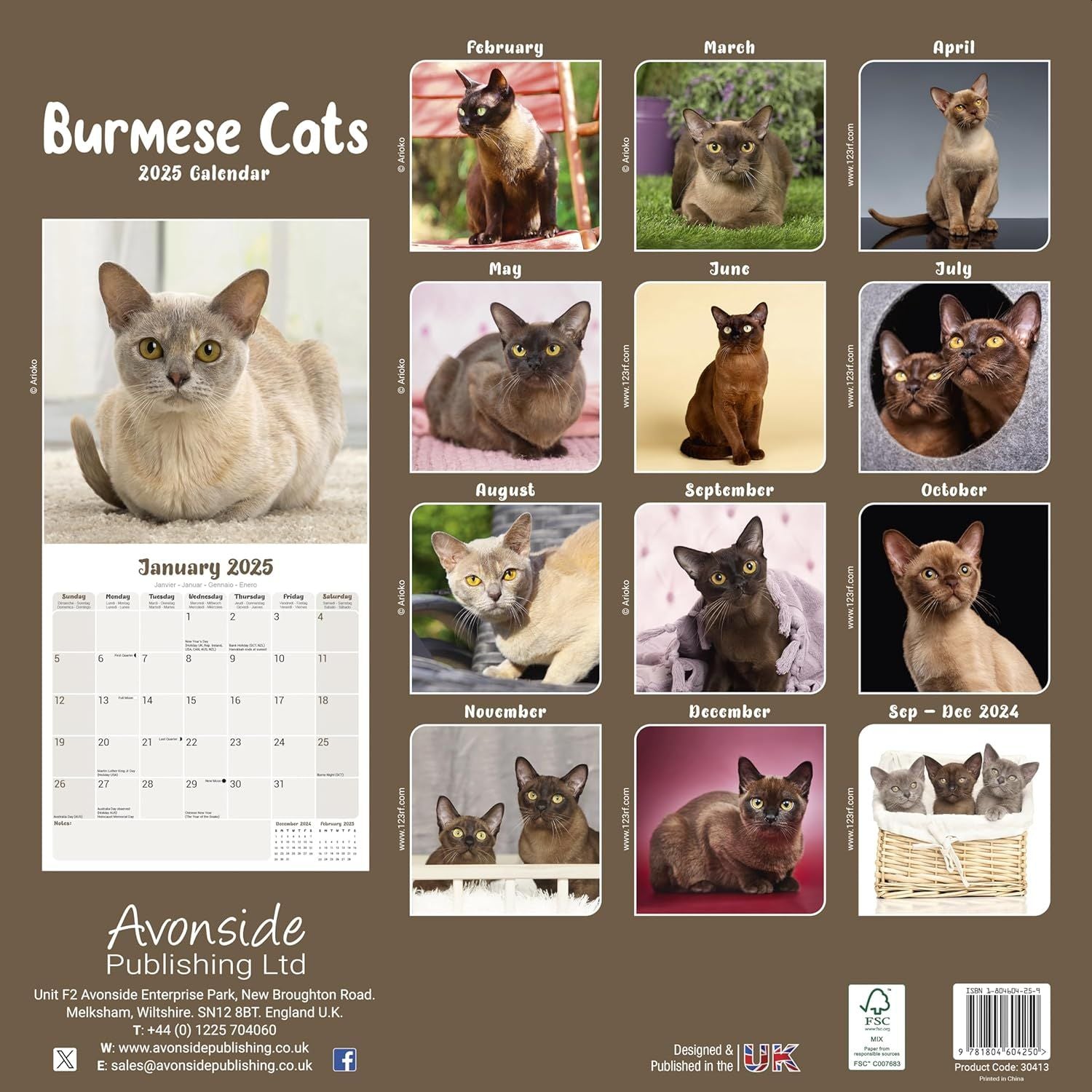 Burmese Cats 2025 Wall Calendar