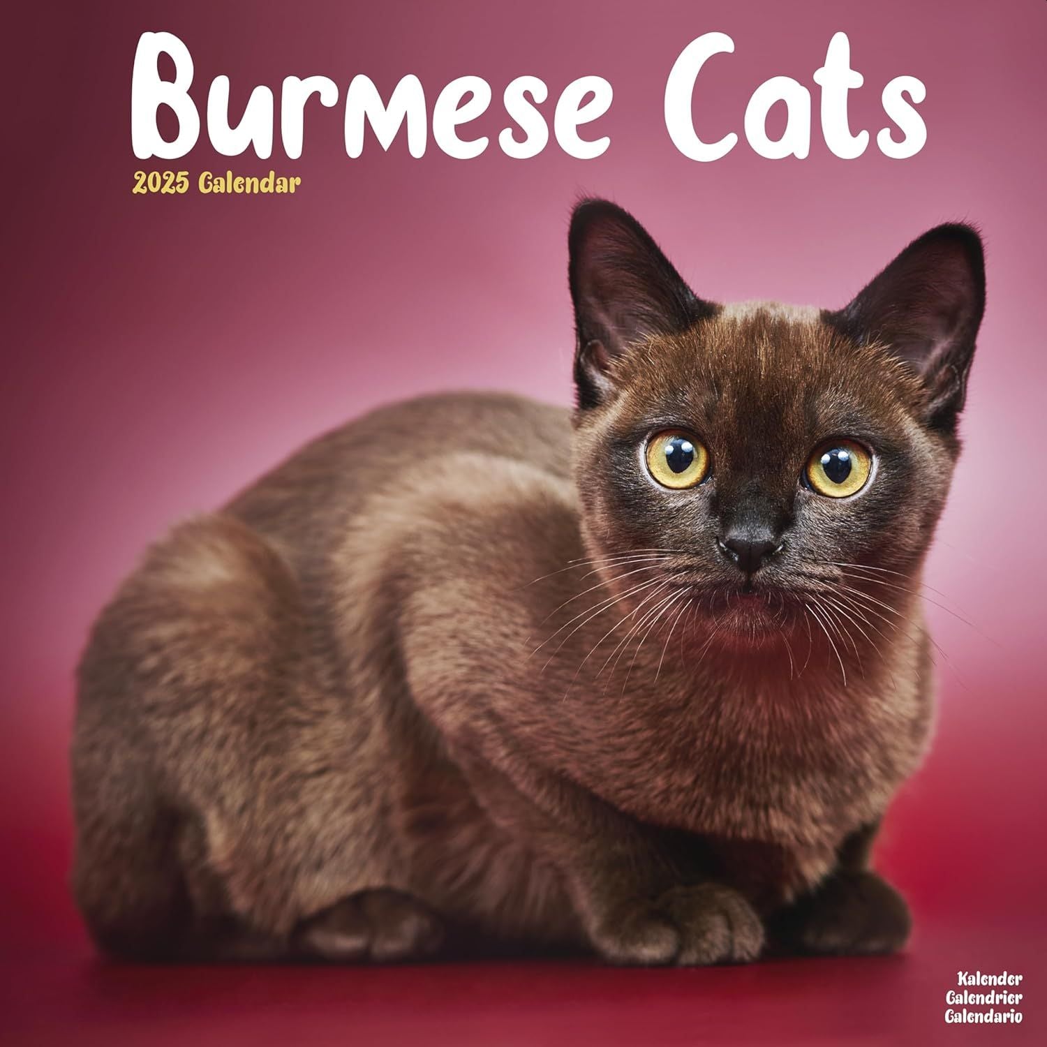 Burmese Cat Calendar 2025