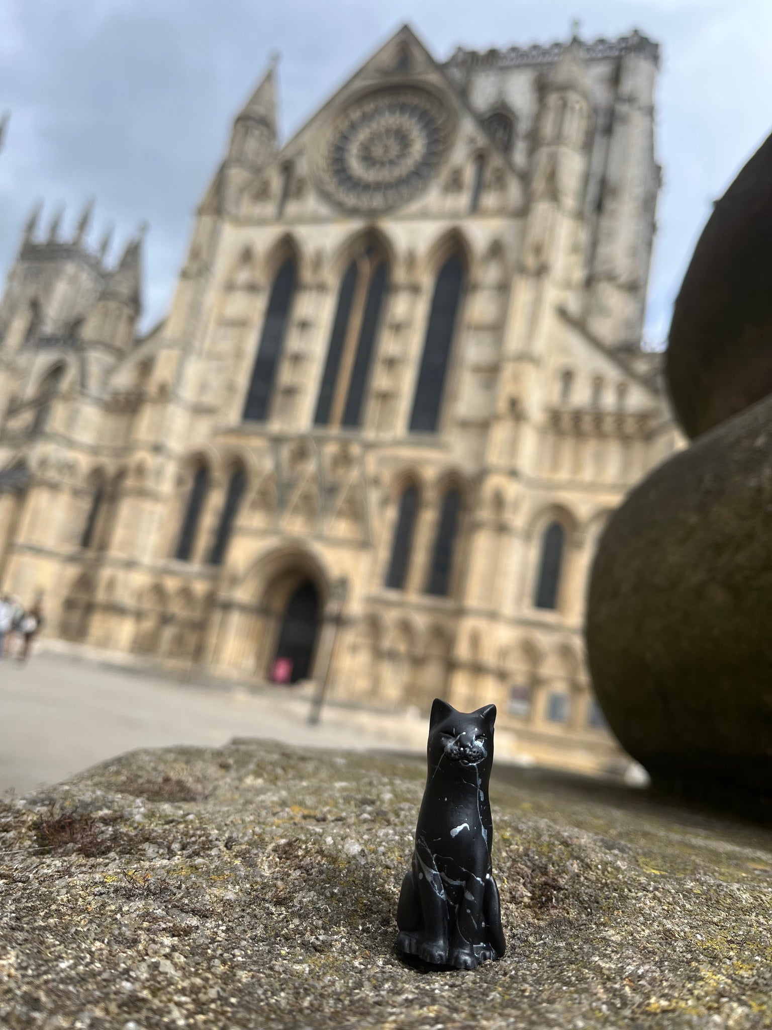 Bolt, Minster Fire Commemorative Cat