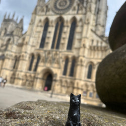 Bolt, Minster Fire Commemorative Cat