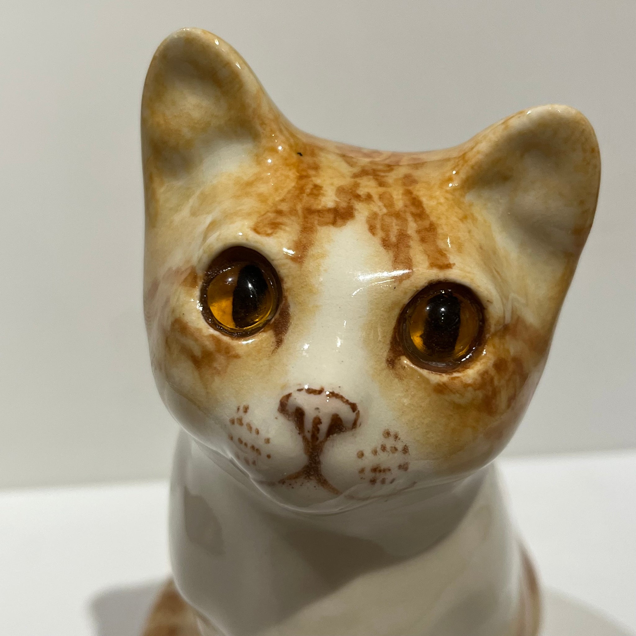 Ginger & White Winstanley Cat - Size 3