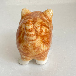 Winstanley Chubby Ginger Kitten - Size 1