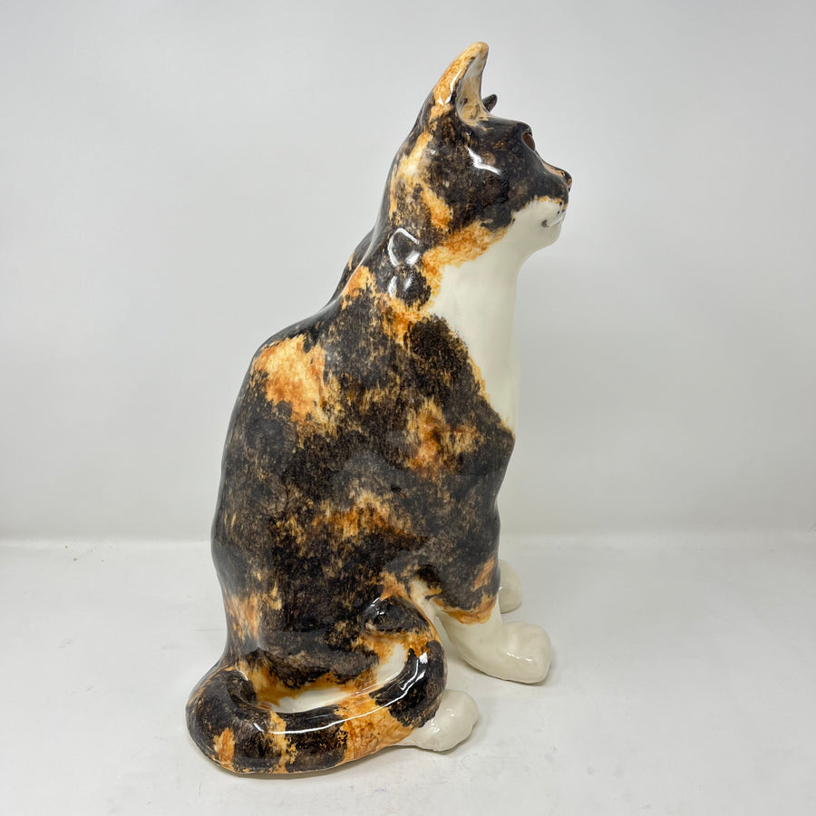 Winstanley Cat Tortoiseshell Size 8