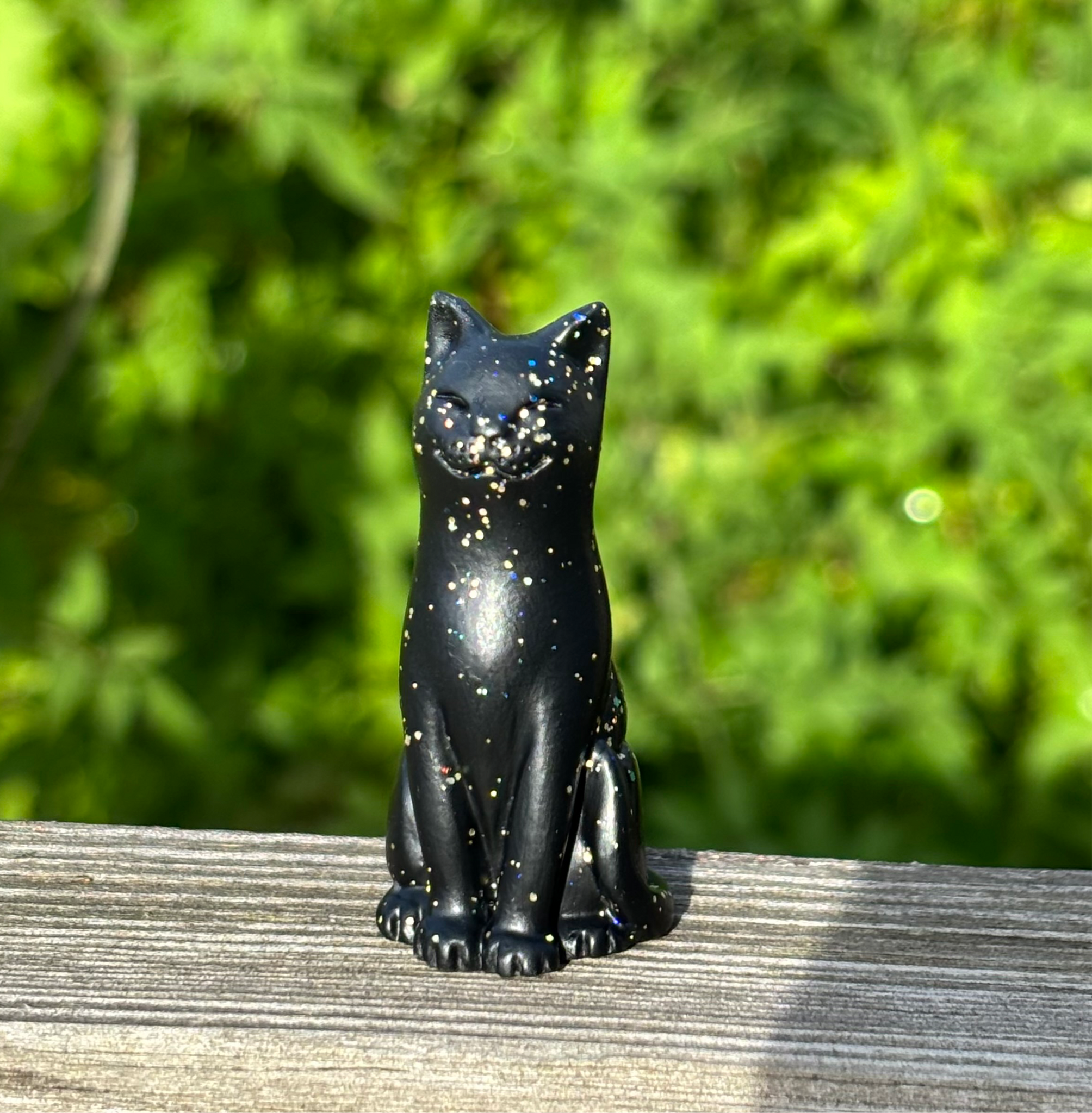 Holographic Black Kittens