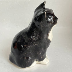 Winstanley Black and White Kitten - Size 1