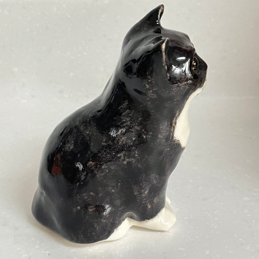Winstanley Black and White Kitten - Size 1