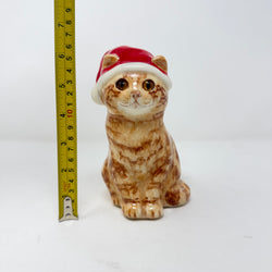 Winstanley Ginger Cat Santa Hat Size 2