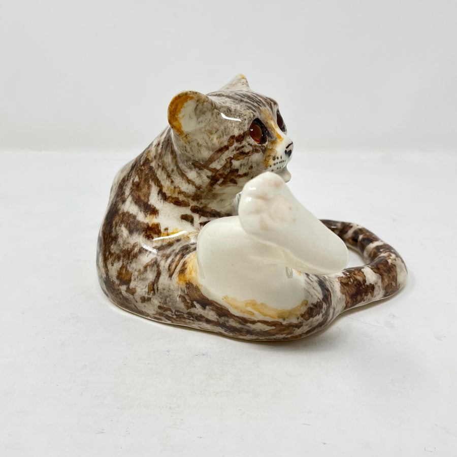 Winstanley Interrupted Cat - Size 3