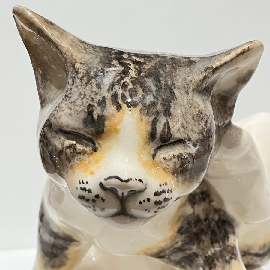 Tabby & White Scratching Winstanley Cat - Size 5