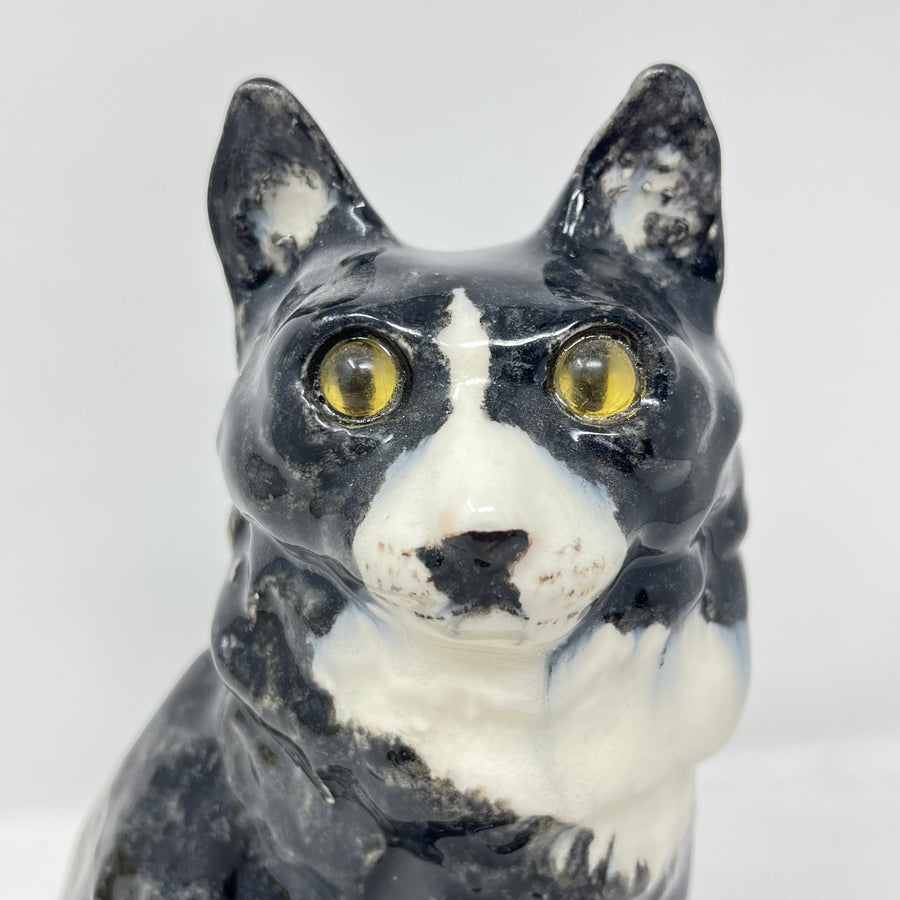Winstanley Long Haired Black & White Cat - Size 4