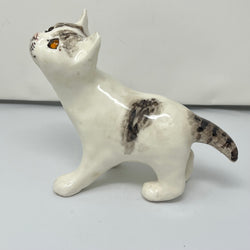 Winstanley White & Grey Tabby Cat - Size 3