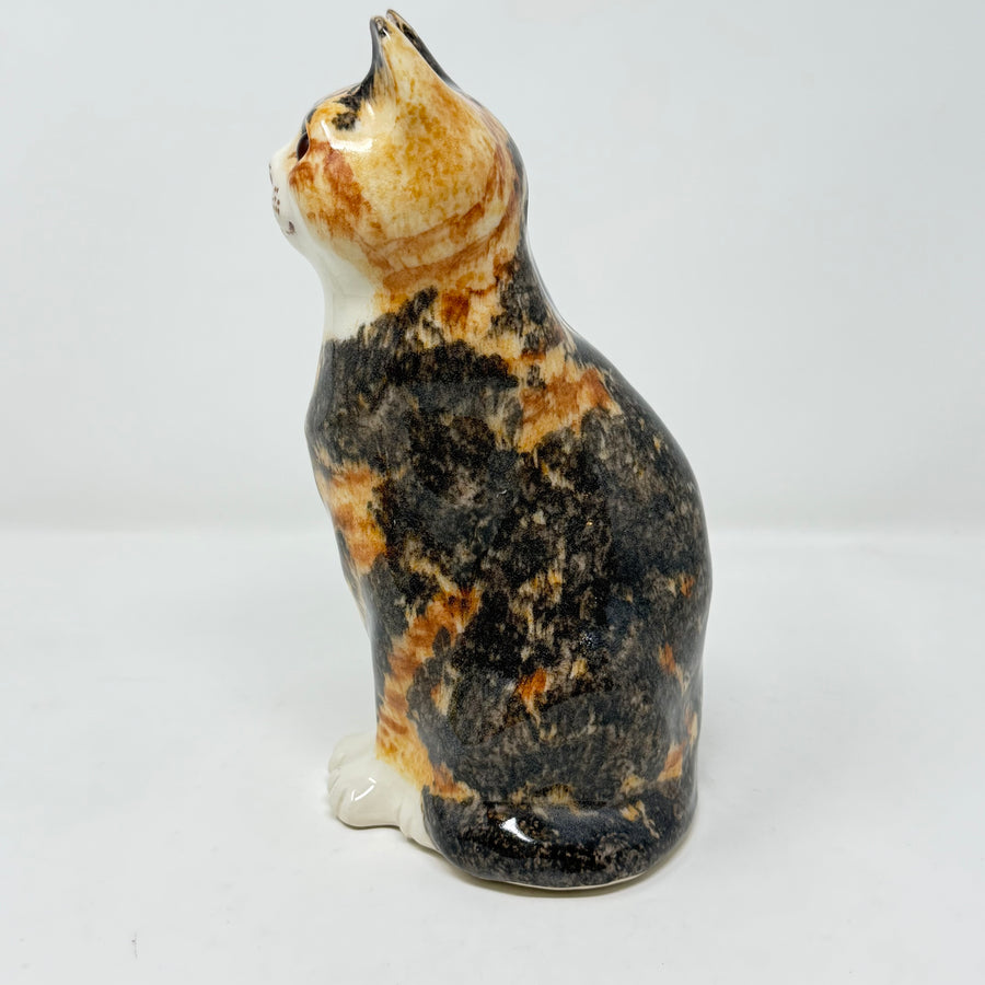 Winstanley Tortie Cat Sitting Up - Size 3