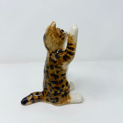Winstanley Tabby Cat Paw Up Size 2
