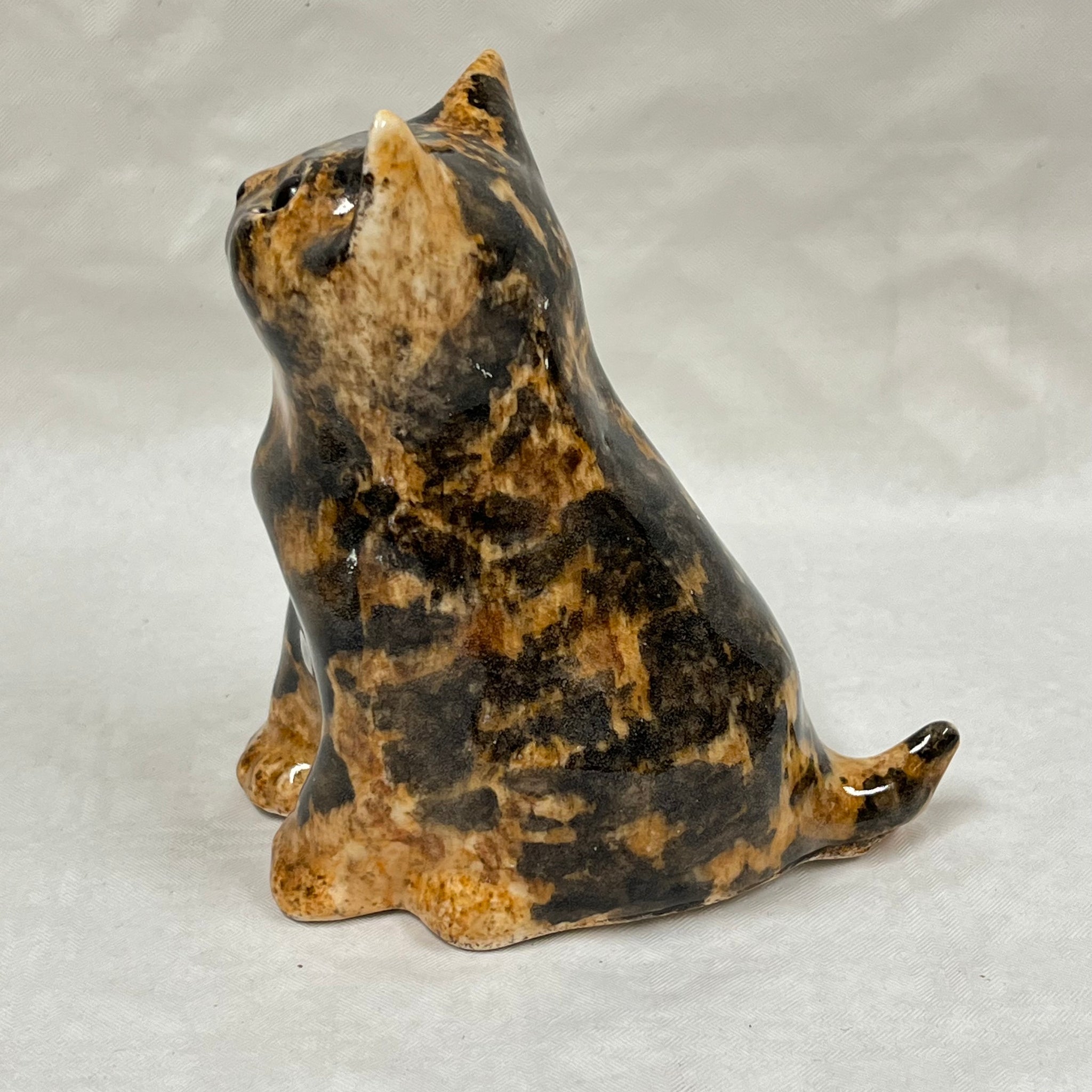Winstanley Brindle Tortie Kitten - Size 1
