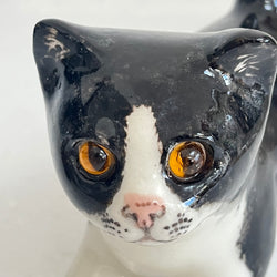 Winstanley Black & White Kitten - Size 1