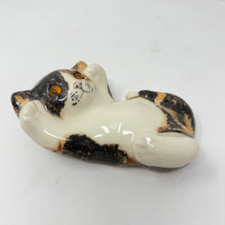 Winstanley Tortie & White On Back Size 2