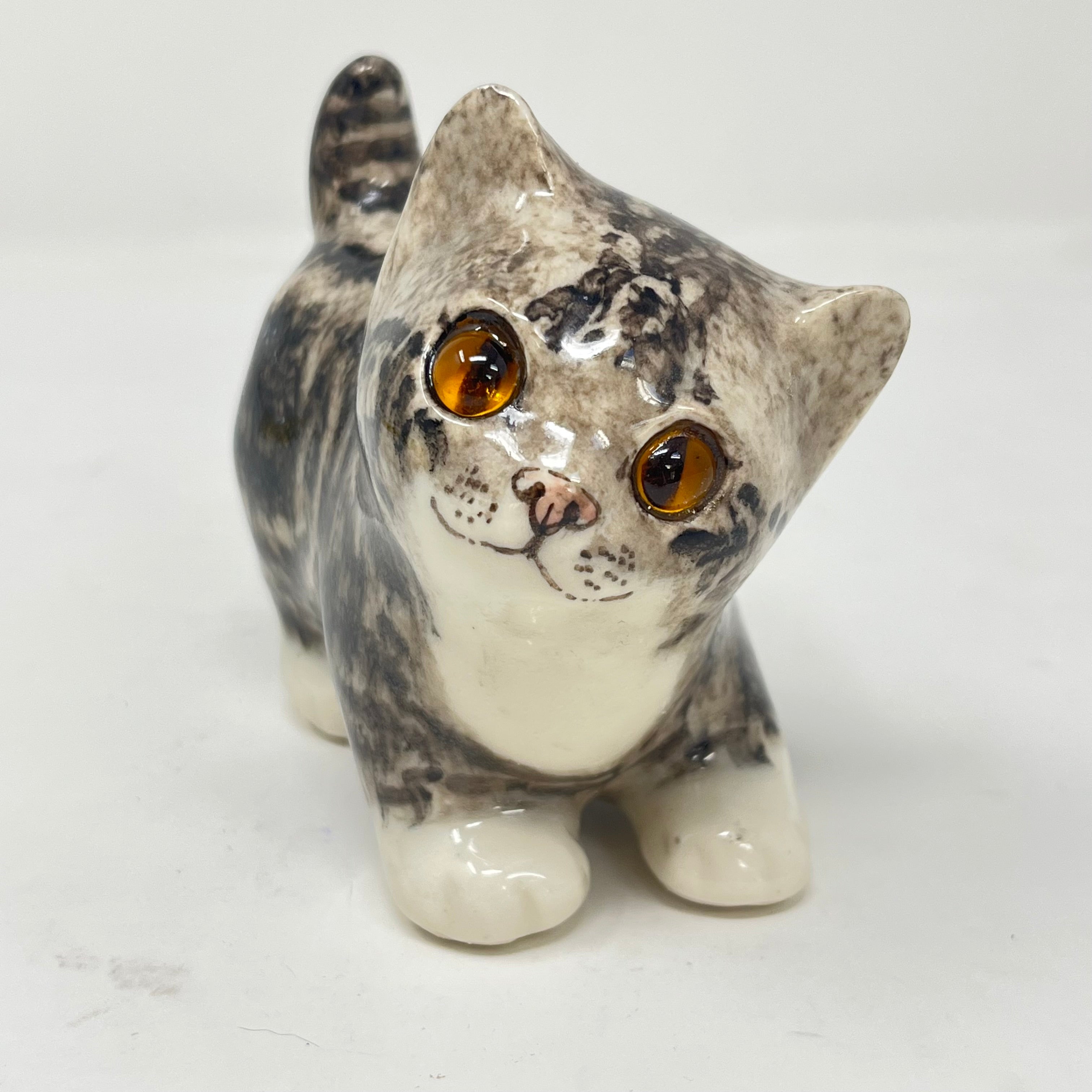 Winstanley Grey Tabby Head Cocked - Size 1