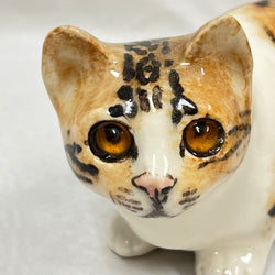 Winstanley Tortie & White Cat Crouching - Size 2