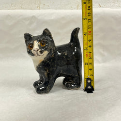 Winstanley Black & White Kitten - Size 1