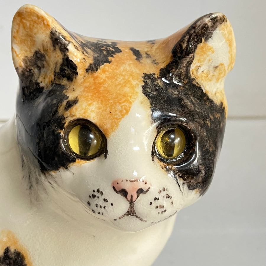 Winstanley Tortoiseshell Cat Sitting Up - Size 4