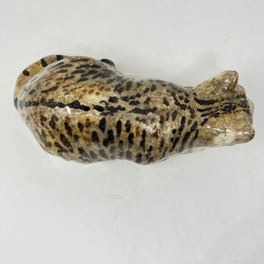 Winstanley Tabby Cat Stalking - Size 5