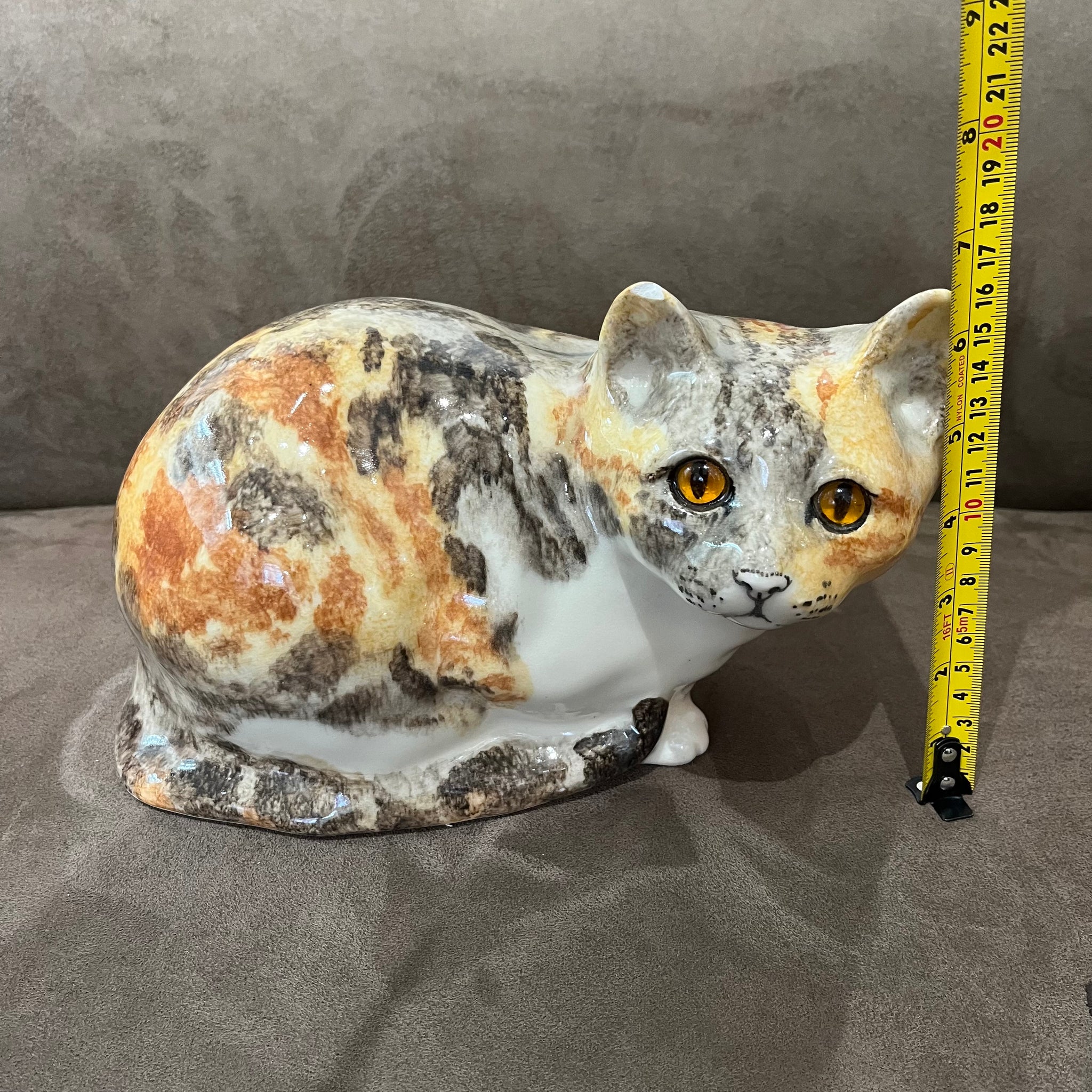 Winstanley Tortie & White - Size 5 - reduced due to small ear chip